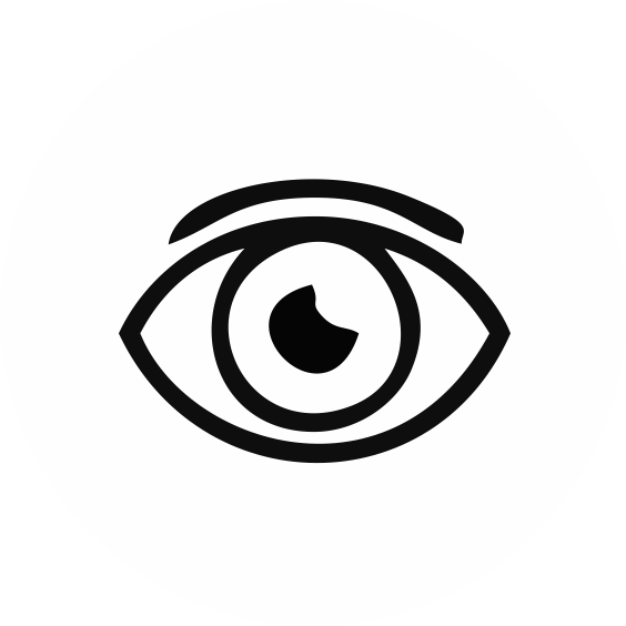 Vision